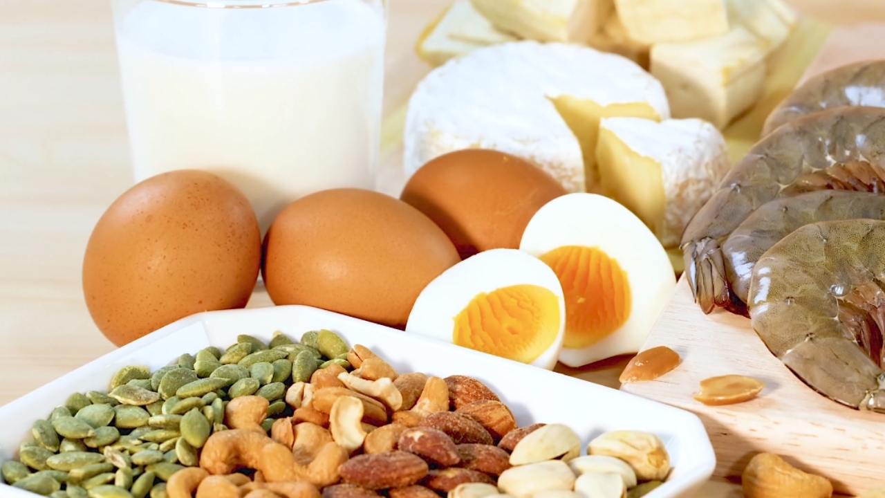 Jaja, mlečni proizvodi, orašasti plodovi, semenke i škampi kao izvori proteina